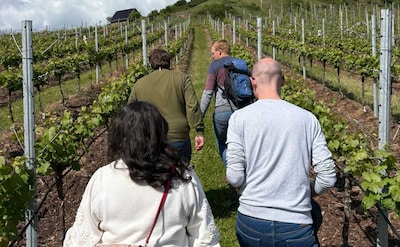 Lekker weg in eigen land: bezoek binnenkort een wijngaard in de buurt van Enschede