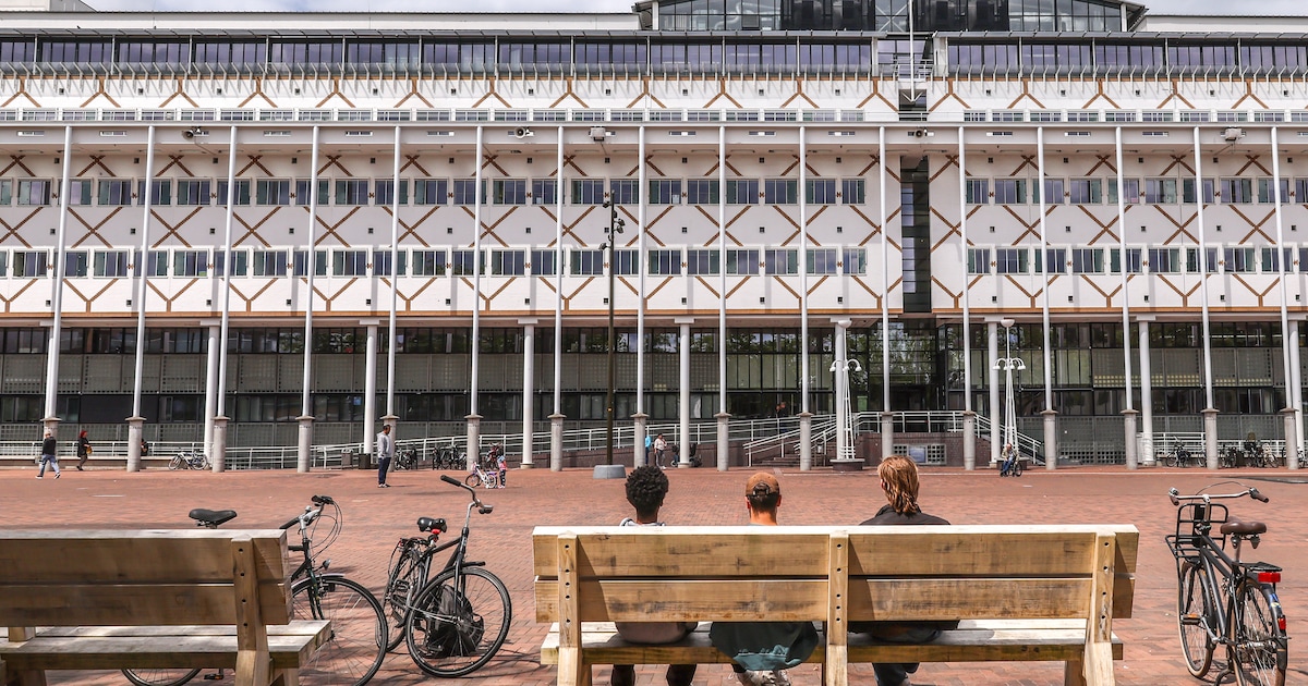 Oproepje: Gemeente Apeldoorn wil weten wat jij vind van je buurt (en dit kun je winnen)