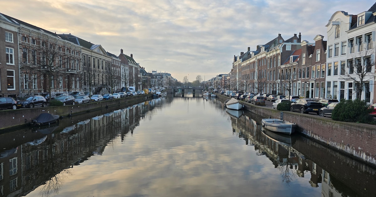 Weekendtips: deze dingen doe je in Haarlem (18-20 september)