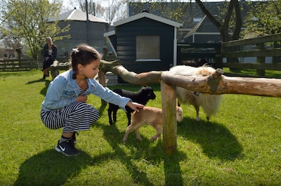 Dit is er te doen tijdens de meivakantie in Gouda