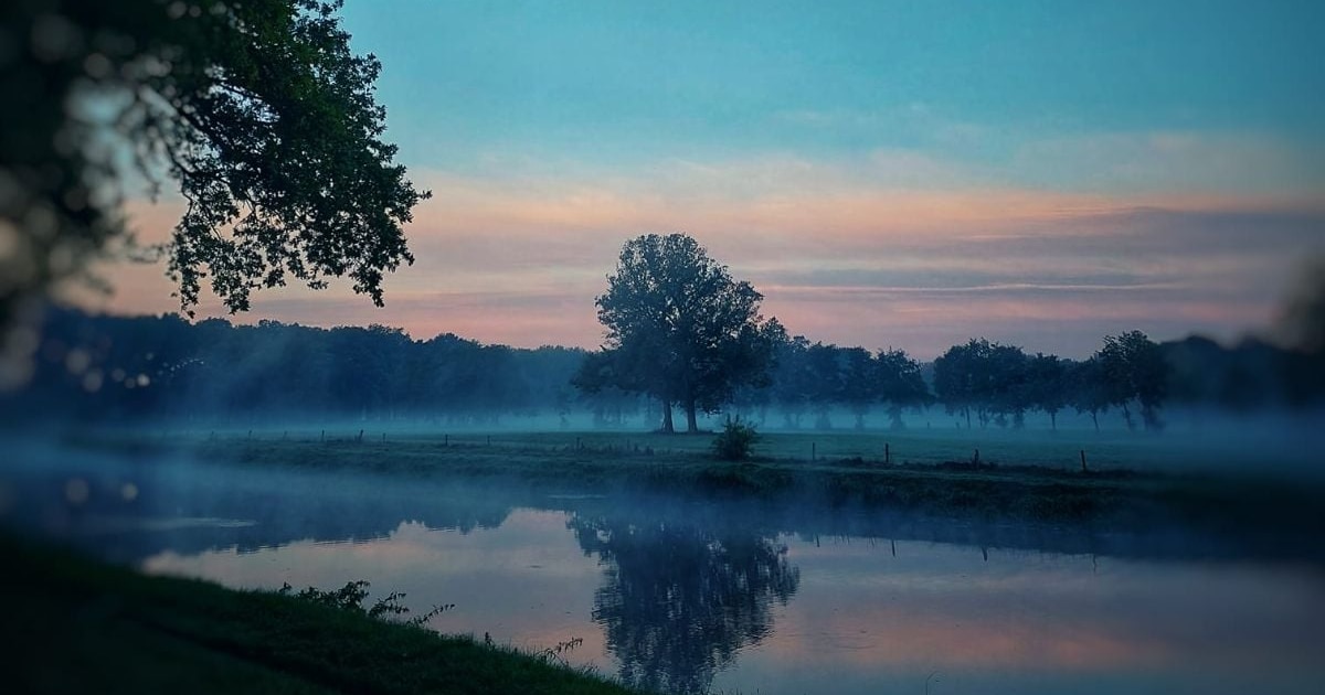 Hup, de natuur in! 5 x mooie natuurgebieden in en rondom Almelo