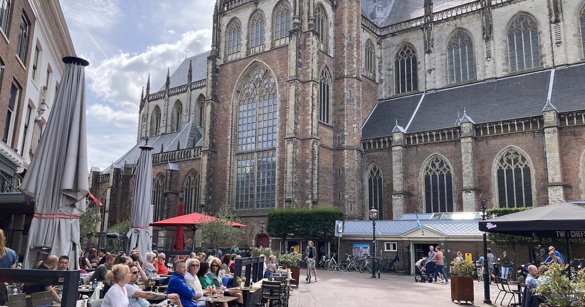 Weekendtips: deze dingen doe je in Haarlem (5-7 juni)