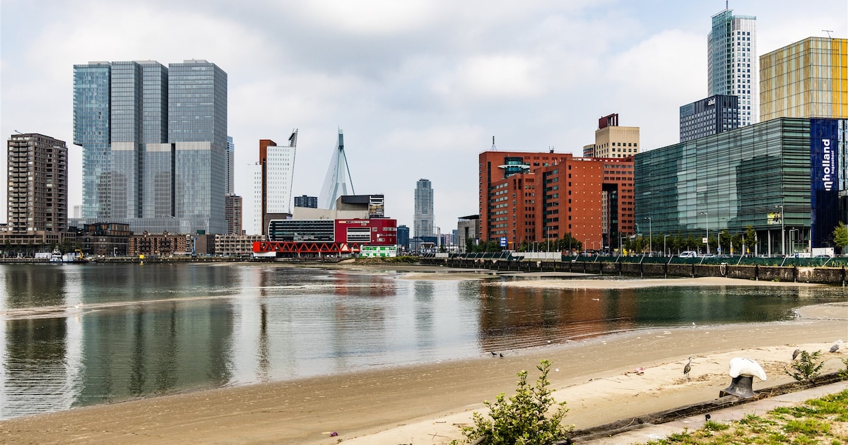 Handdoekje leggen! Het strand aan de Rijnhaven is gedeeltelijk open ...