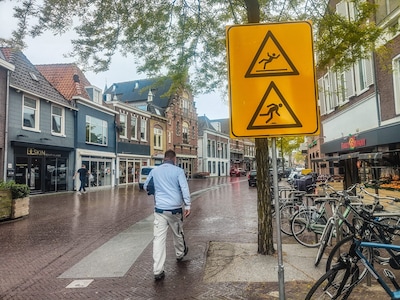 Nieuwe verkeersborden: dansend of glijdend door de Rijnstraat?