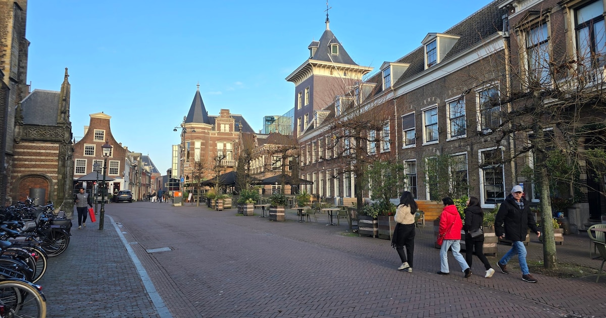 Weekendtips: deze dingen doe je in Haarlem (23 - 25 januari)