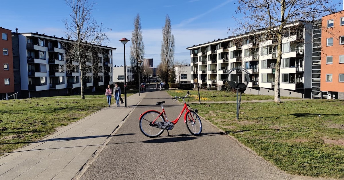 Doen: wandel de tour door Nieuwland van de Amersfoortse Gidsen