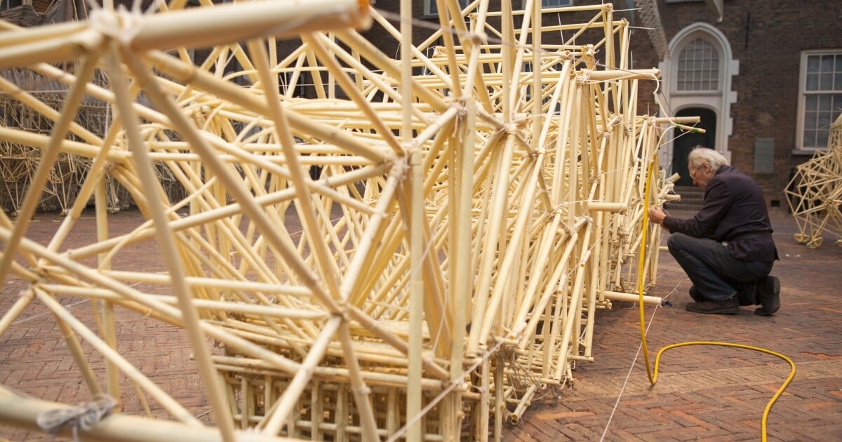 Tip: op deze plek kun je de beroemde Strandbeesten altijd (gratis ...