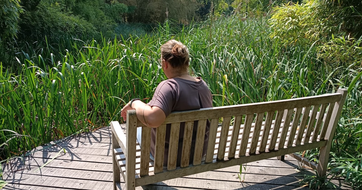 Even chillen? Met deze handige apps vind je alle bankjes in Hengelo