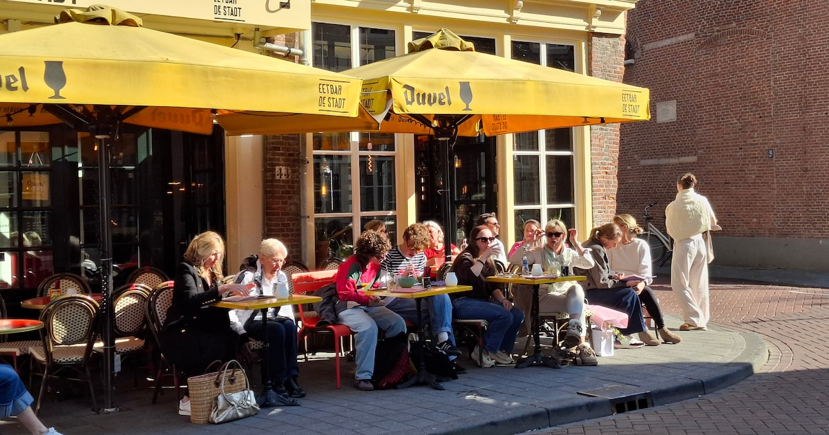 Zoveel betaal je voor een rondje op een Bosch' terras