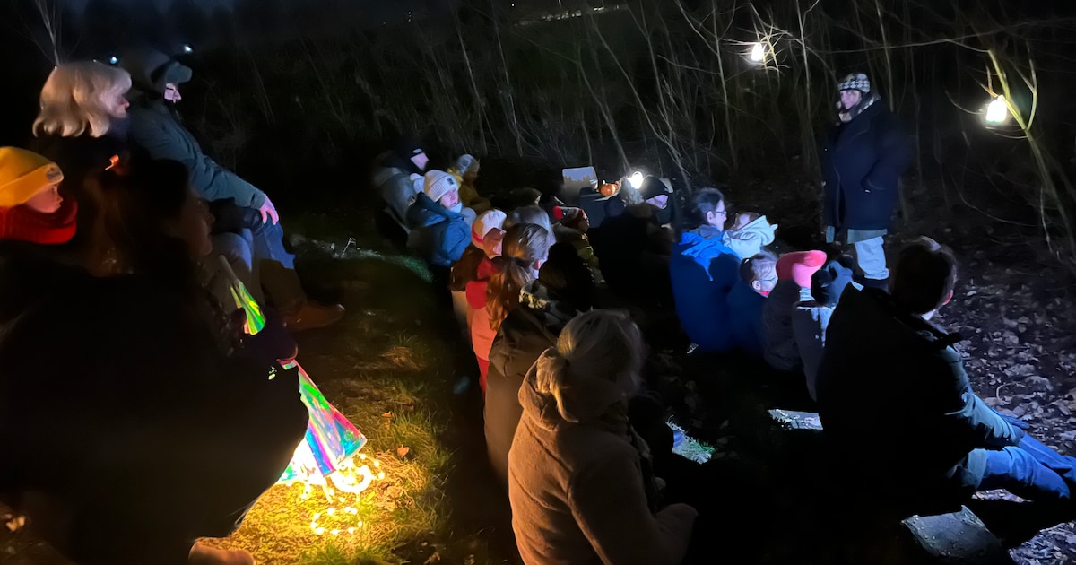 Lichtjes aan, zaklamp uit: maak 14 februari een magische wandeling door het Beleefbos