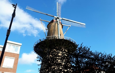 Bij deze molen in Dordrecht mag je binnenkort zelf binnenkijken