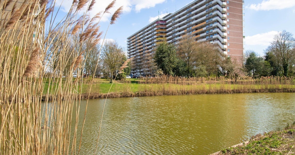 Laat het horen: hoe tevreden ben jij over de gemeente Bergen op Zoom?