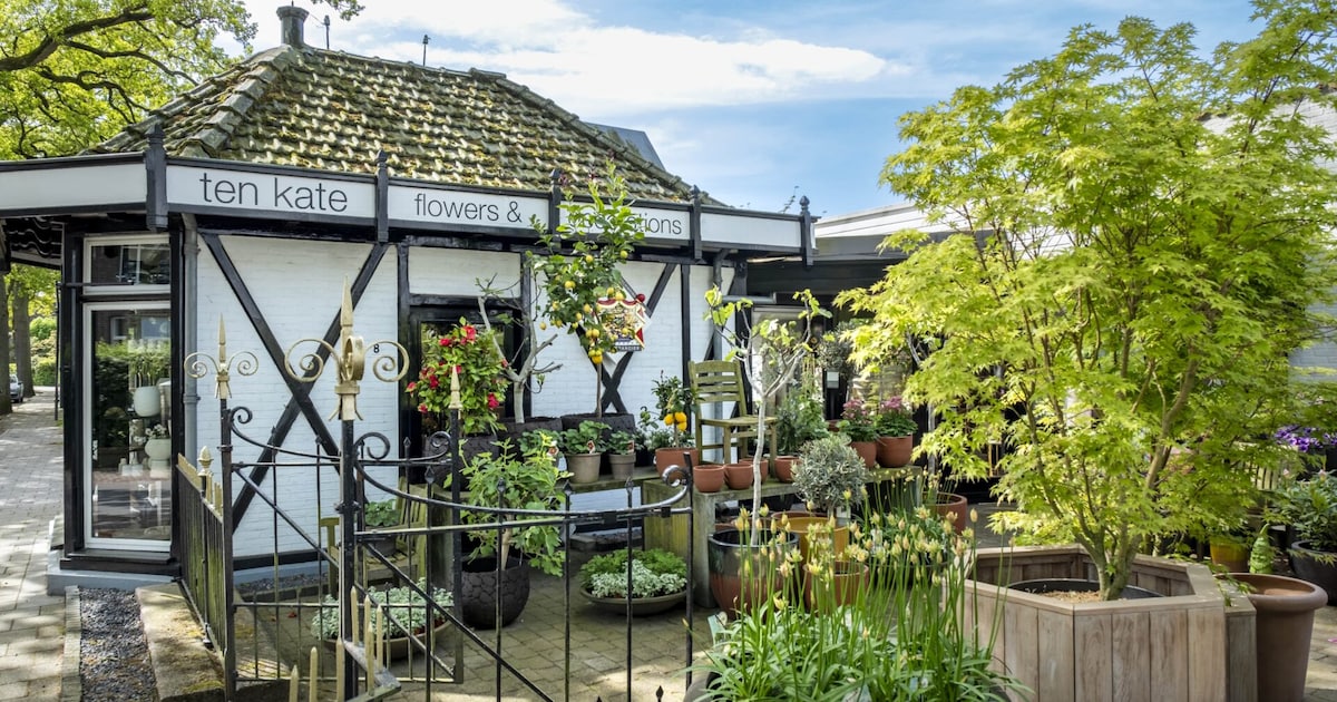 Ten Kate opent een spiksplinternieuwe winkel: zo ziet het eruit