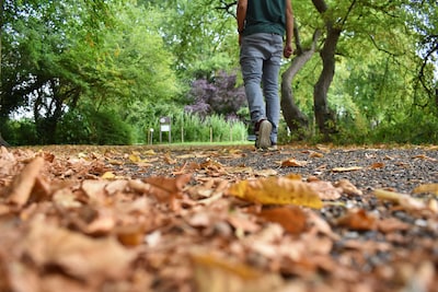 Herfstvakantie in Haarlem: dit is de weersverwachting