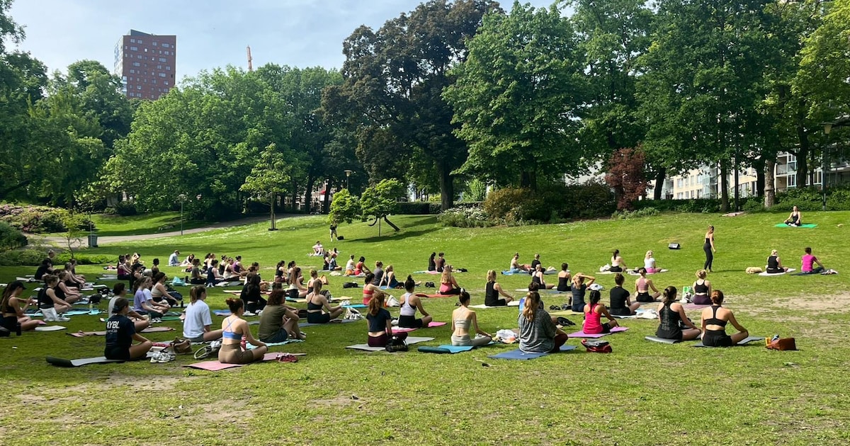 Namasté! Tijdens de Vierdaagse doe je hier gratis yoga of pilates
