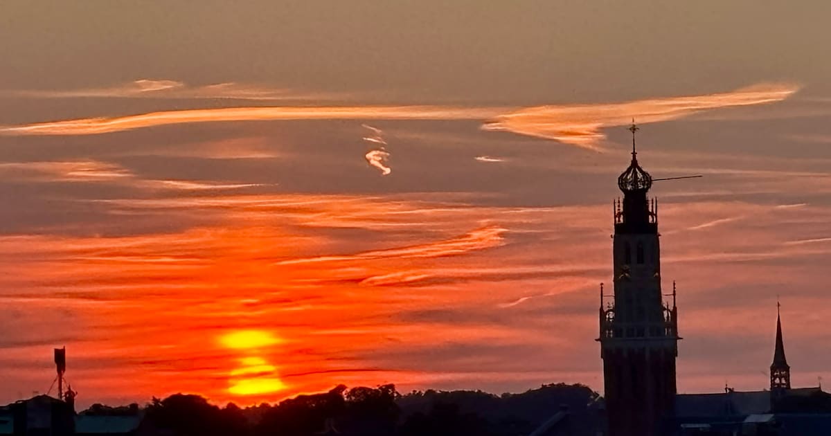 Weekendtips: deze dingen doe je in Haarlem (23-25 oktober)