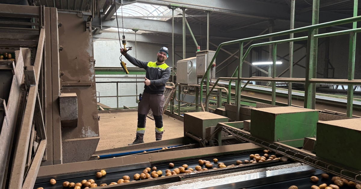 Emil werkt in een Tilburgse frietfabriek: ‘Het is voor ons allemaal een beetje onze hobby’