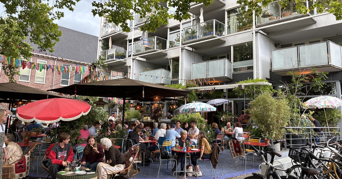 Van Hanno naar je bank: dit appartement erboven staat te koop