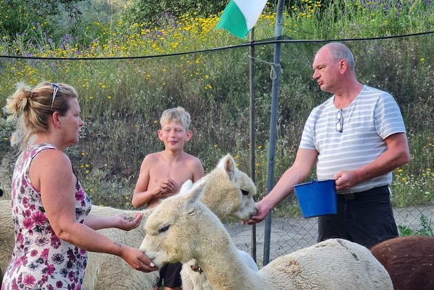 Denise en Kasper hebben een alpacaboerderij in Spanje: 'We maken ons ...