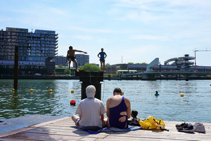 Zonnige beelden! De Rijnhaven is dé zwemspot van deze Rotterdamse zomer ...