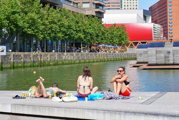 Zonnige beelden! De Rijnhaven is dé zwemspot van deze Rotterdamse zomer ...