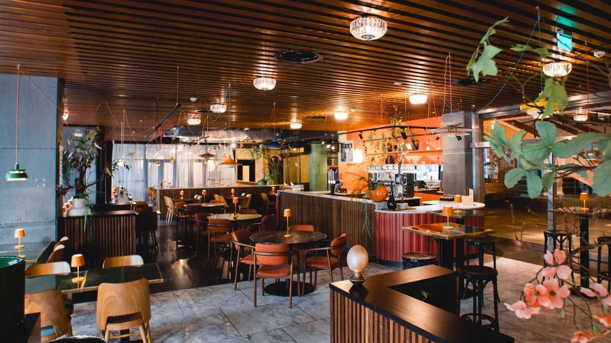 Van muziekcafé tot minimuseum: dit zijn de nieuwe studio's van de Doelen