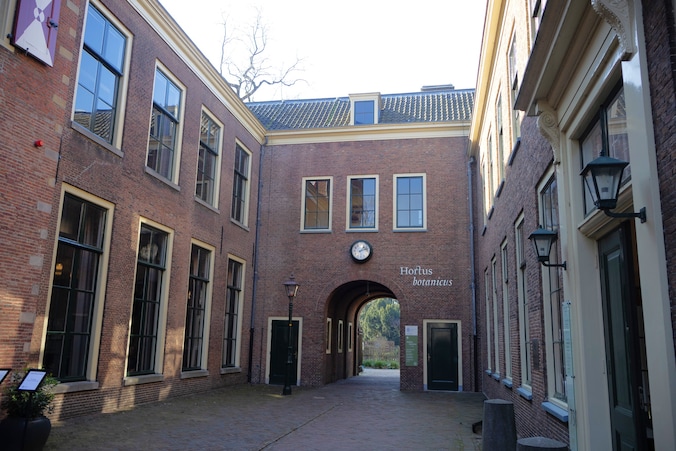 Weekendtips: deze dingen doe je in Leiden (16-18 oktober) | Regio ...