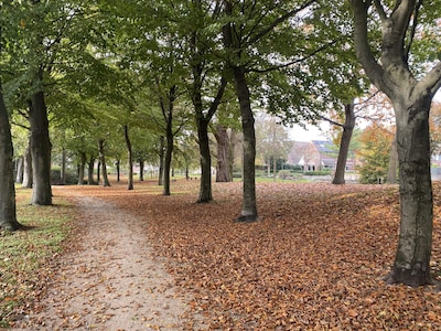 Halloweenkermis, herfstbucketlist en meer nieuwtjes van deze week