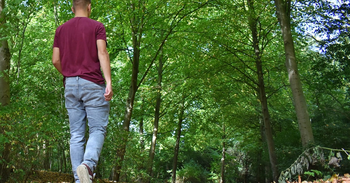 Hop, naar buiten! 5 x wandelen in en rondom Haarlem