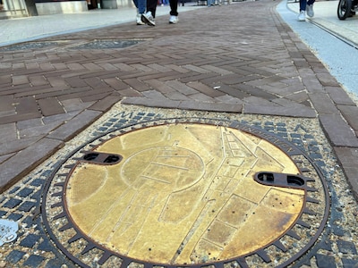 Raad het plaatje: waar in Eindhoven vind je dit opvallende putdeksel?