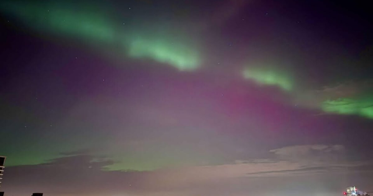 Een gesprek met Henk Patat, het Noorderlicht en meer nieuwtjes van deze week