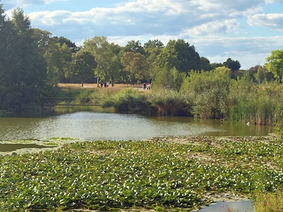 Wandelschoenen aan: dit is er te doen tijdens 24 uur voor de Stadsnatuur in Eindhoven