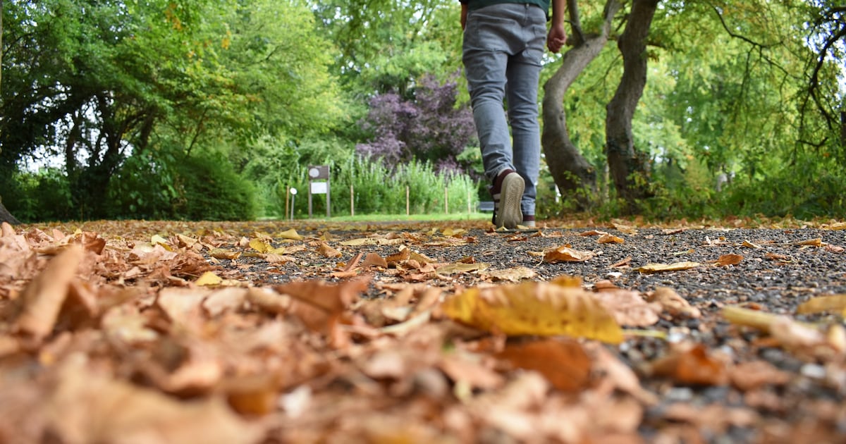 Leuke dingen doen tijdens de herfstvakantie? Dit is de weersverwachting in Amersfoort