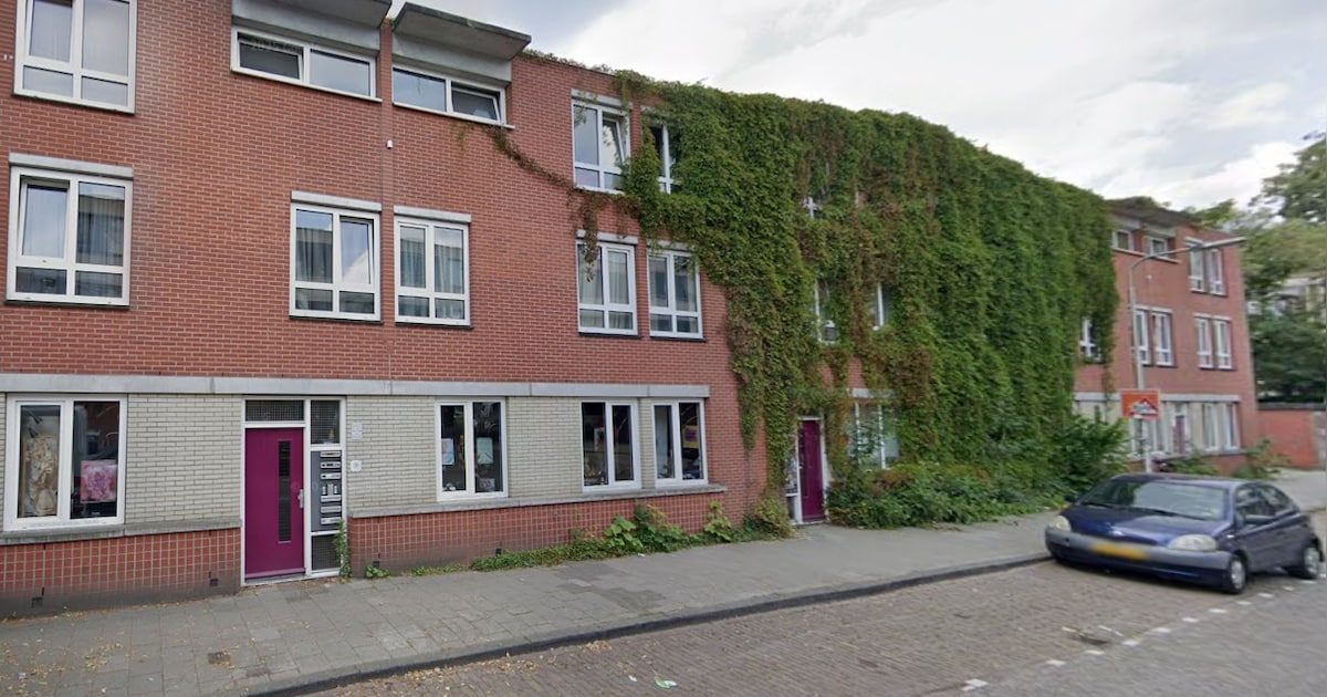 Museumtip! Deze Tilburgse wijk krijgt een gratis expositie die 24 uur per dag te zien is