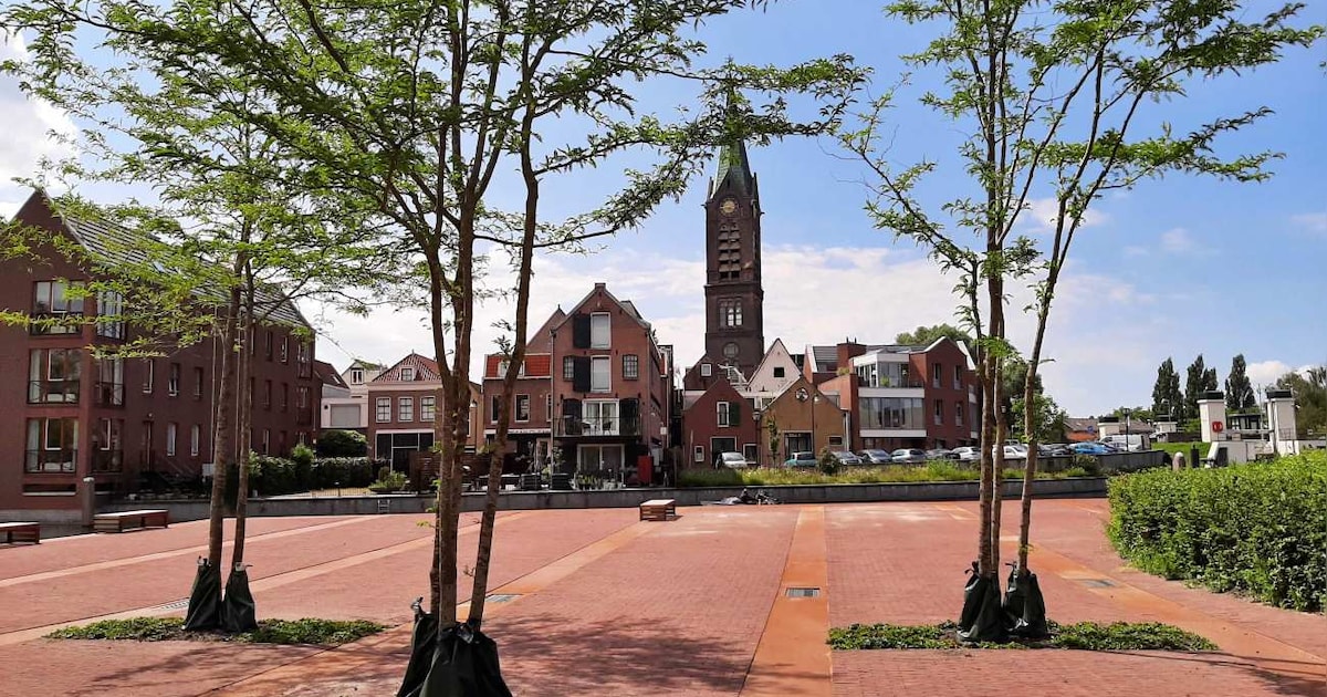 Indebuurt Vlaardingen weer genomineerd voor Website van het Jaar: zo help je ons winnen
