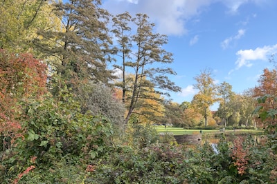 De temperaturen dalen: zo ziet de herfst in Delft eruit (video)