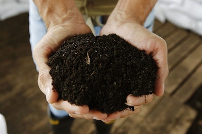 Gratis compost voor je tuin! Op deze dag haal je het op in Schiedam