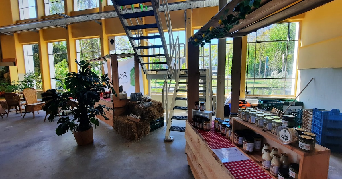 Winkel met lokale producten, Thawng Cin opent sushizaak en meer nieuwtjes van deze week