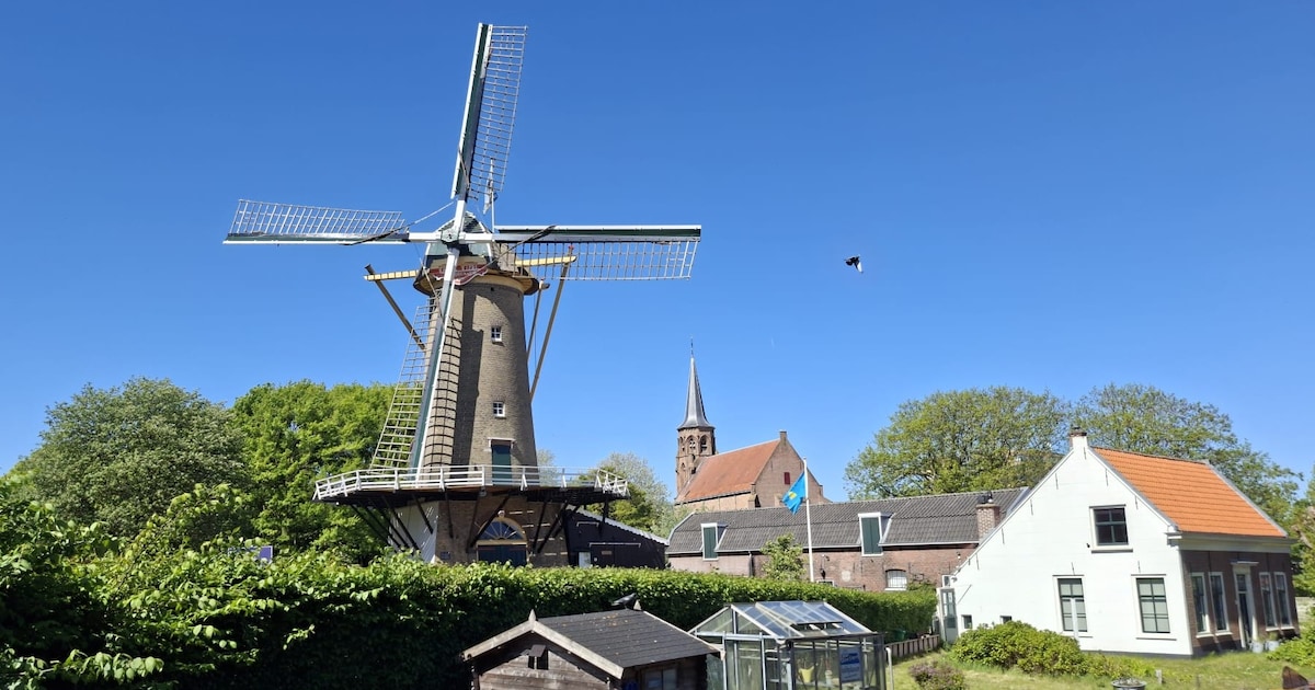 Bij deze molens in de buurt van Den Haag mag je binnenkort zelf binnenkijken