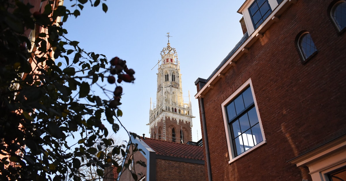 Open Monumentendag in Haarlem: deze bijzondere plekken kun je bezoeken
