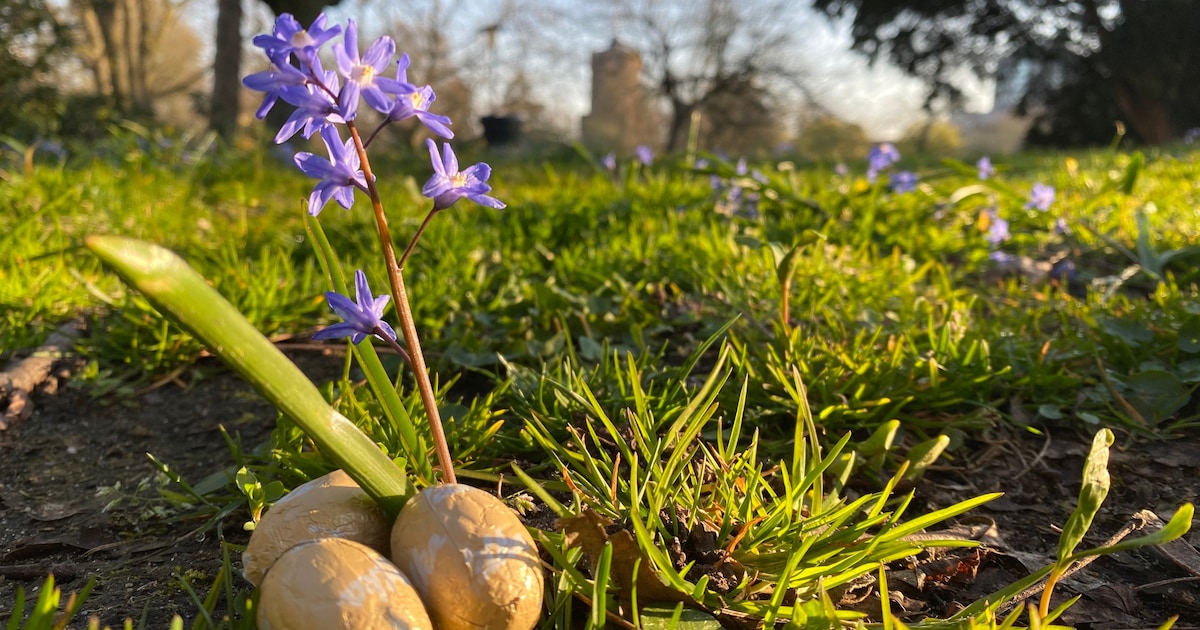 Eieren verstoppen in de tuin of binnenshuis? Dit is de weersverwachting voor Pasen
