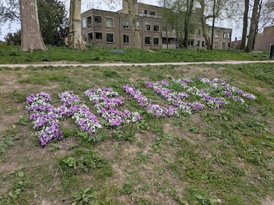 Huh, Heleen? Dit is waarom haar naam in bloemen langs de Catharijnesingel ligt