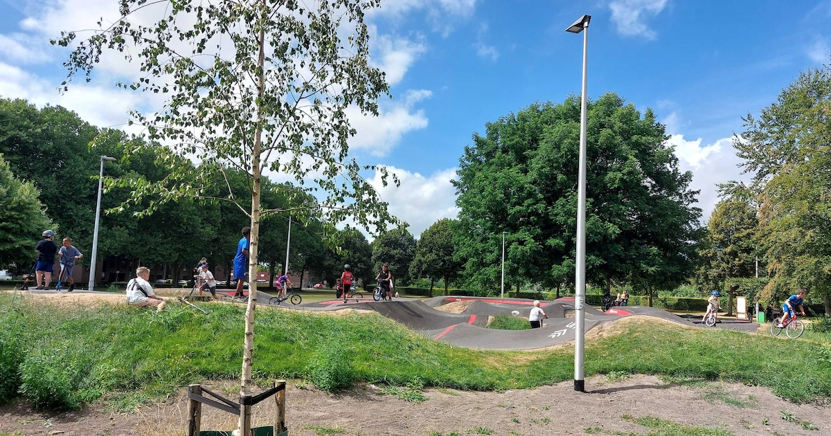 Cool! De nieuwe pumptrackbaan in het Seghwaertse Hout is open (video)