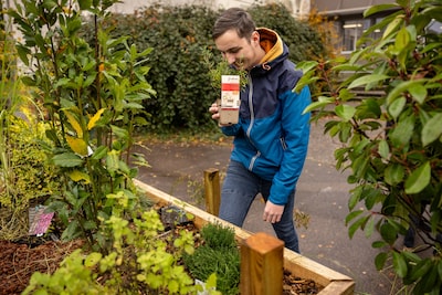 Stekje, struikje, siergrasje over? Ruil je planten op deze plantenruilbeurs vlak bij Arnhem