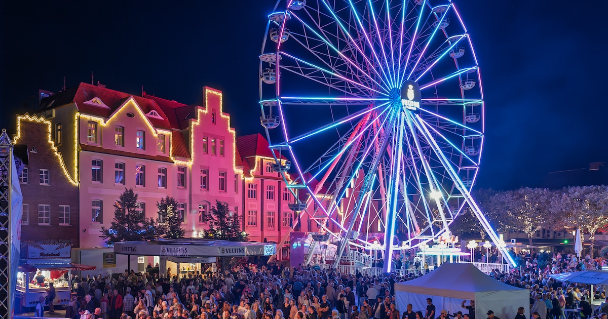 Dit festival net over de grens is drie dagen lang gratis te bezoeken