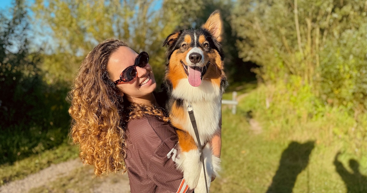 Van dierenarts tot pension: alles wat je wil weten als Helmondse hondenbezitter